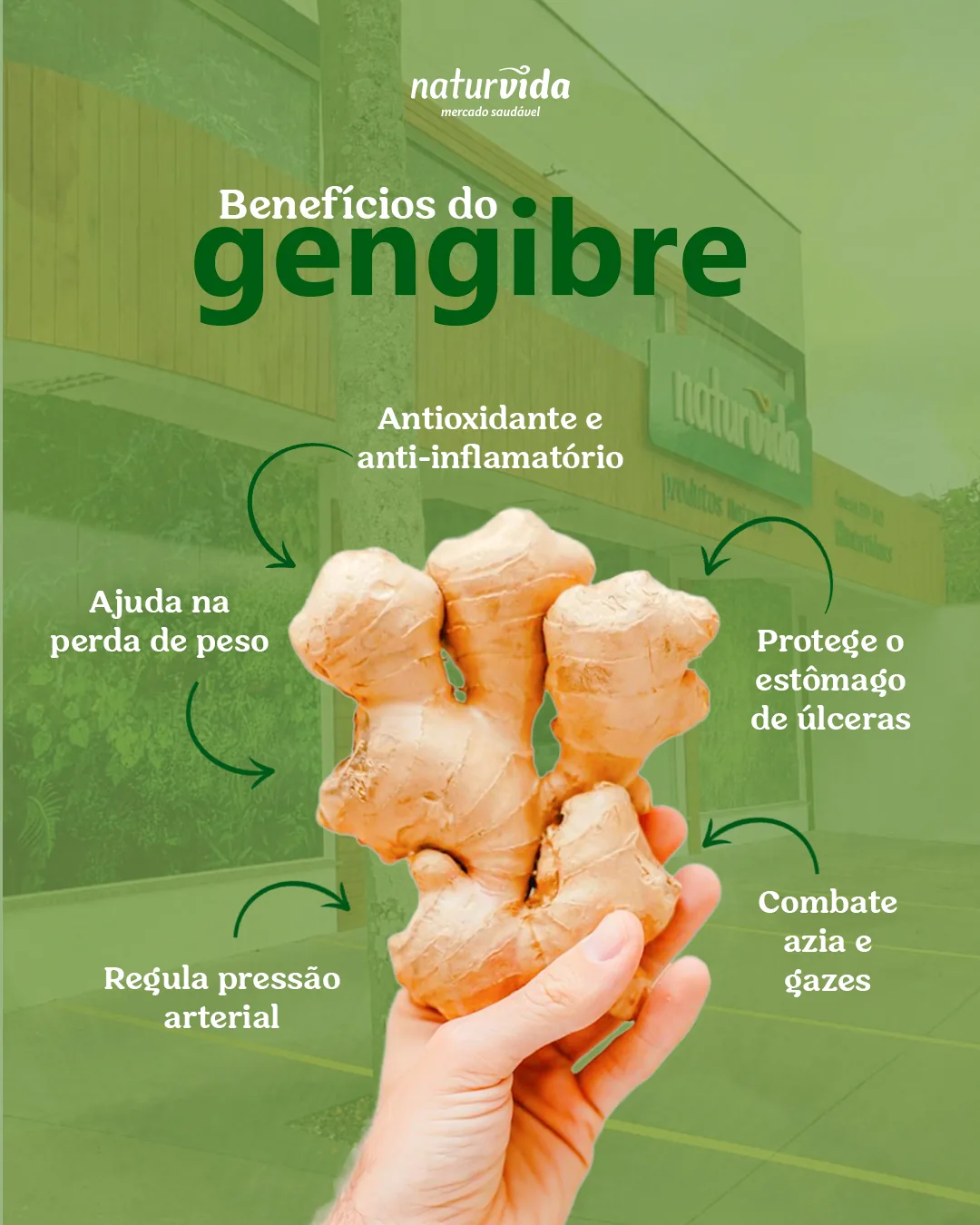 Peça de design gráfico: Benefícios do gengibre. Filipe Dressler, designer gráfico em Santa Cruz do Sul